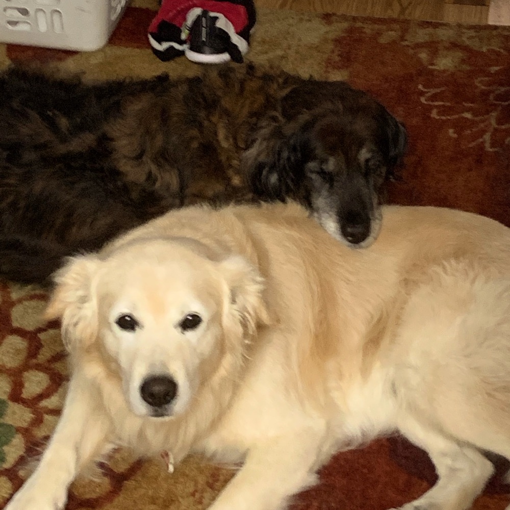 Meet your Posher, Susan